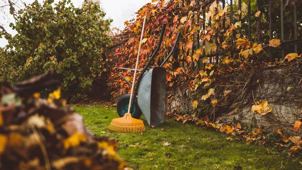 Gartenarbeiten im September vor Herbstbeginn