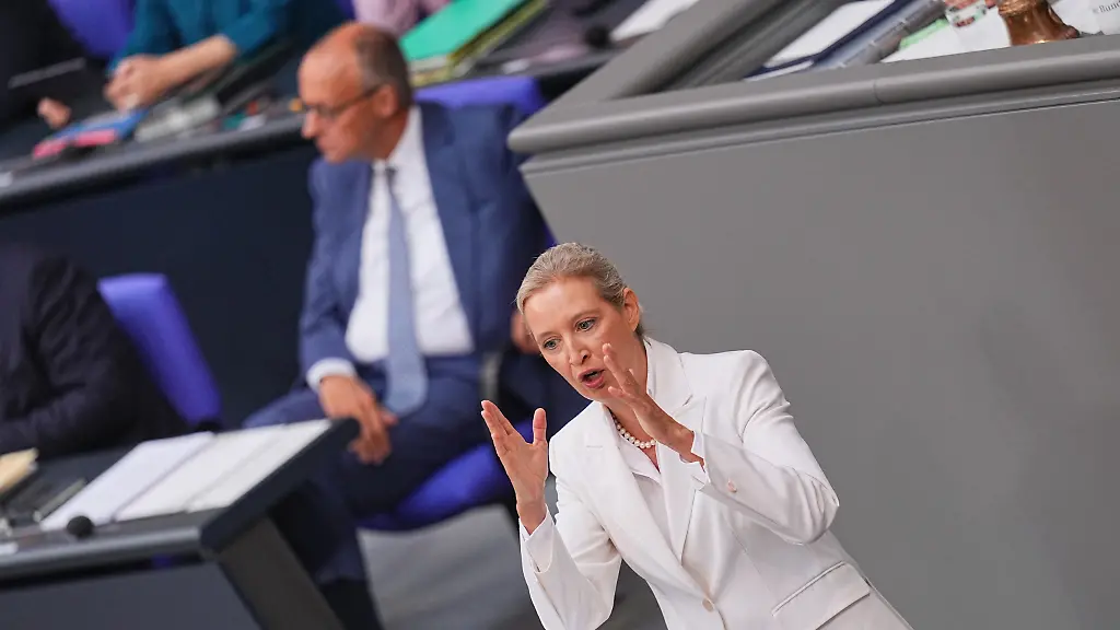 Weidel fordert Neuwahlen als Lösung für Koalitionskrise