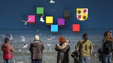 Analyse der Landtagswahl in Mecklenburg-Vorpommern