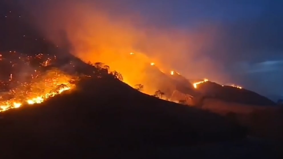 Waldbrände in Kolumbien: Starke Winde erschweren die Bekämpfung