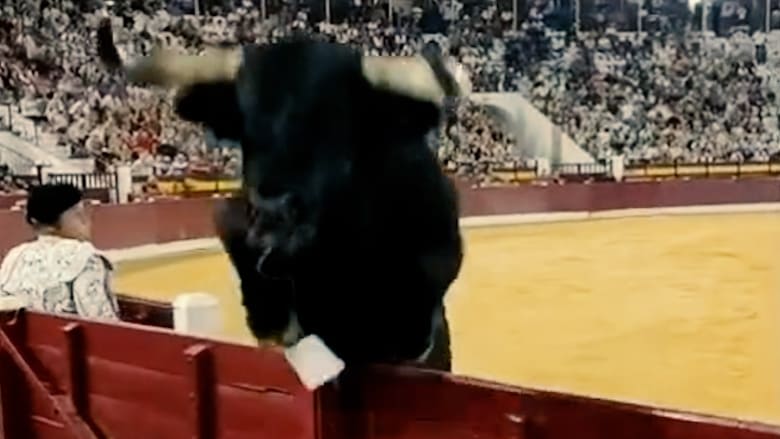 Schock beim traditionellen Stierkampf in Spanien