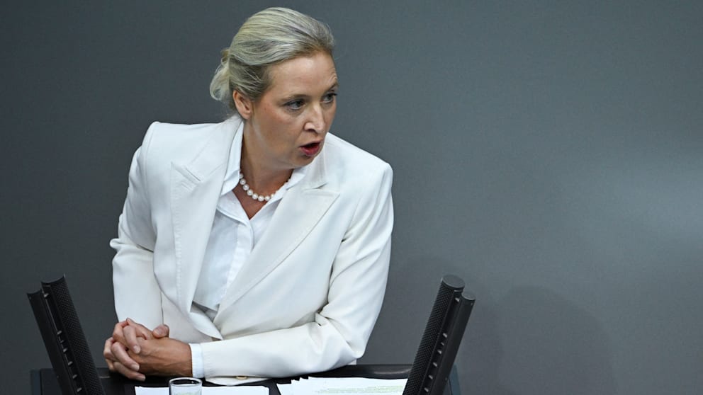 Alice Weidel kritisiert die Energiewende im Bundestag