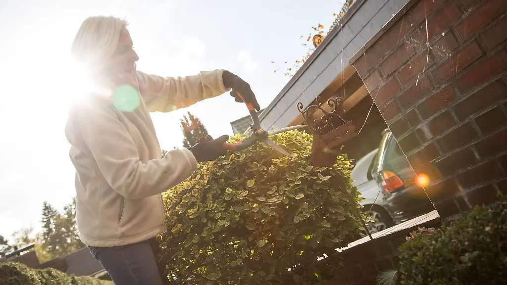 Garten winterfest machen: Wichtige Herbstarbeiten