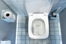 Studie zeigt Keimschleudern beim Toilettenspülen auf