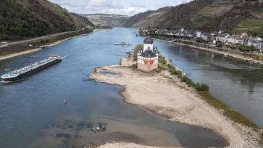 Auswirkungen des Rhein-Niedrigwassers auf die Wirtschaft