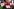 Labour-Parteitag unter Andy Burnham: Neustart und Herausforderungen
