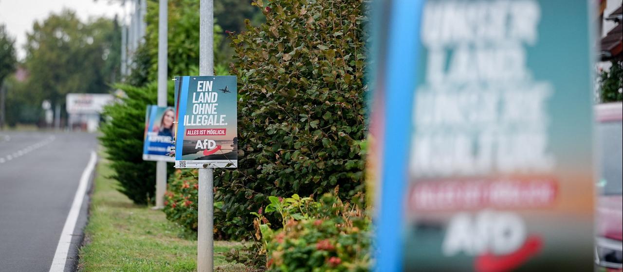 Analyse der migrationspolitischen Vorschläge der AfD in Sachsen-Anhalt