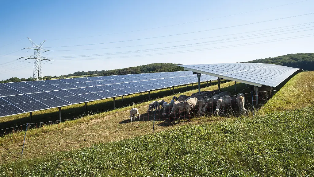 Deutschland erreicht neuen Solarstrom-Rekord