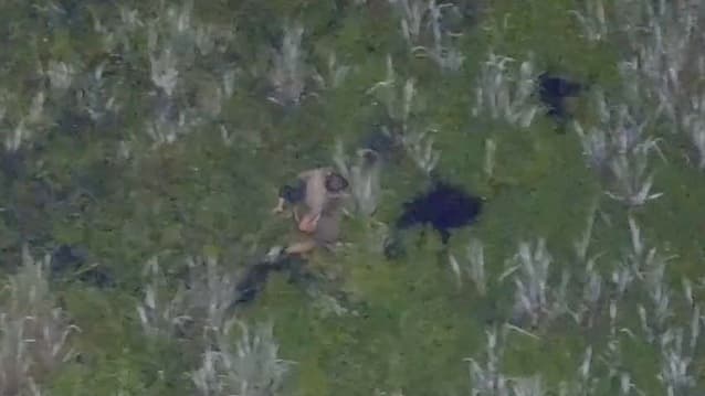 Vater flieht betrunken nach Unfall in Alligatoren-Sumpf