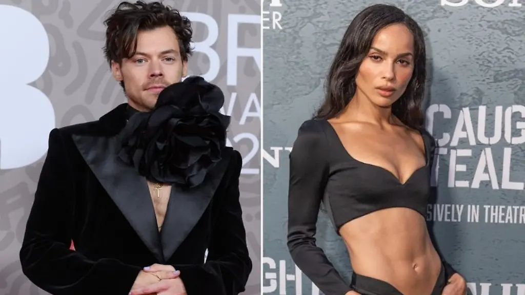 Heiratsgerüchte um Harry Styles und Zoë Kravitz