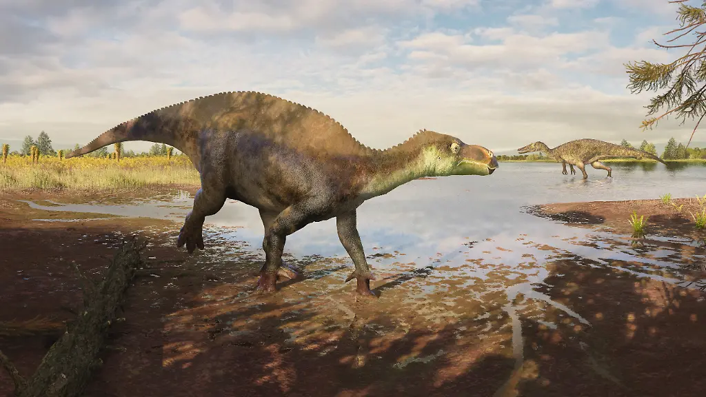 Neue Dinosaurier-Art: Paludohadros proudlovii entdeckt