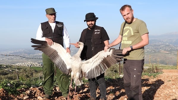 Gefahren für Weißstörche auf ihrem Weg nach Afrika
