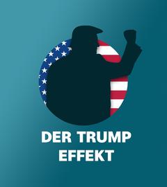 Themenschwerpunkte der US-amerikanischen Wähler vor den Midterms