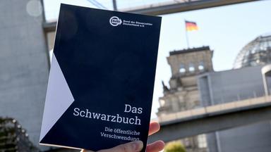 Steuerverschwendung im Fokus des Schwarzbuchs 2025/26