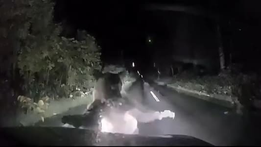Bären greifen Auto auf Bergstraße an