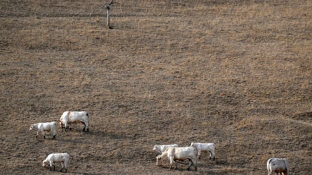 UN-Warnung: Drastische Klimaerwärmung droht