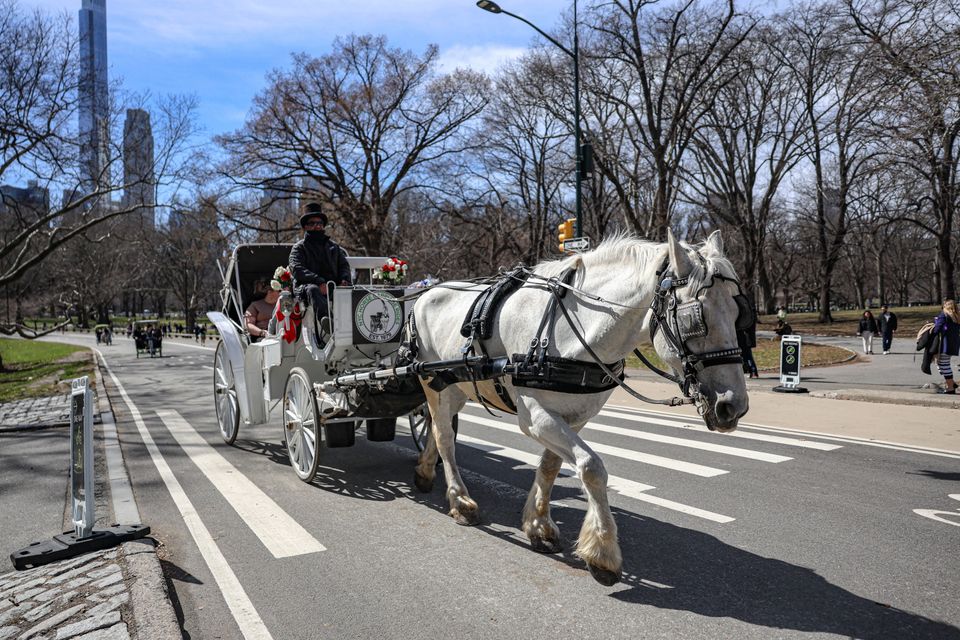 Geplantes Verbot von Pferdekutschen im Central Park