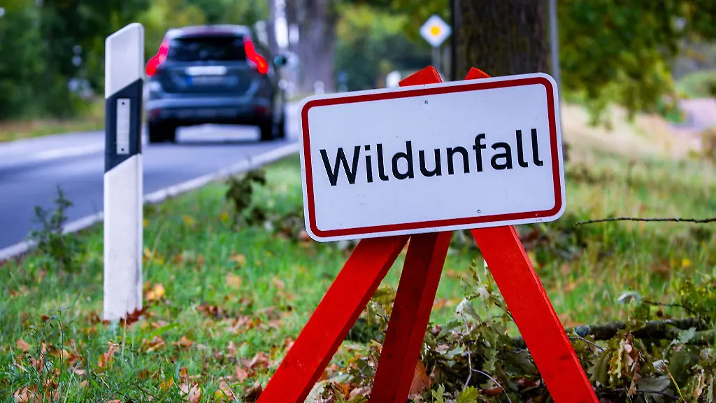 Unfallwild als Hundefutter im Reutlinger Tierheim