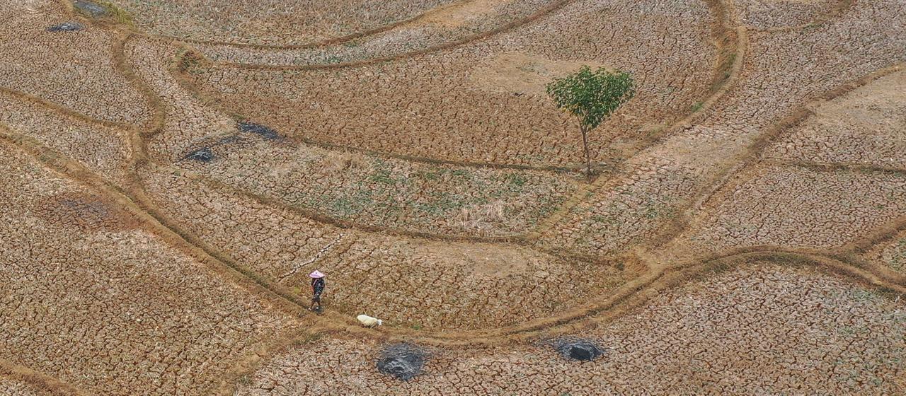 UN-Bericht: Welt steuert auf 2,8 Grad Erwärmung zu