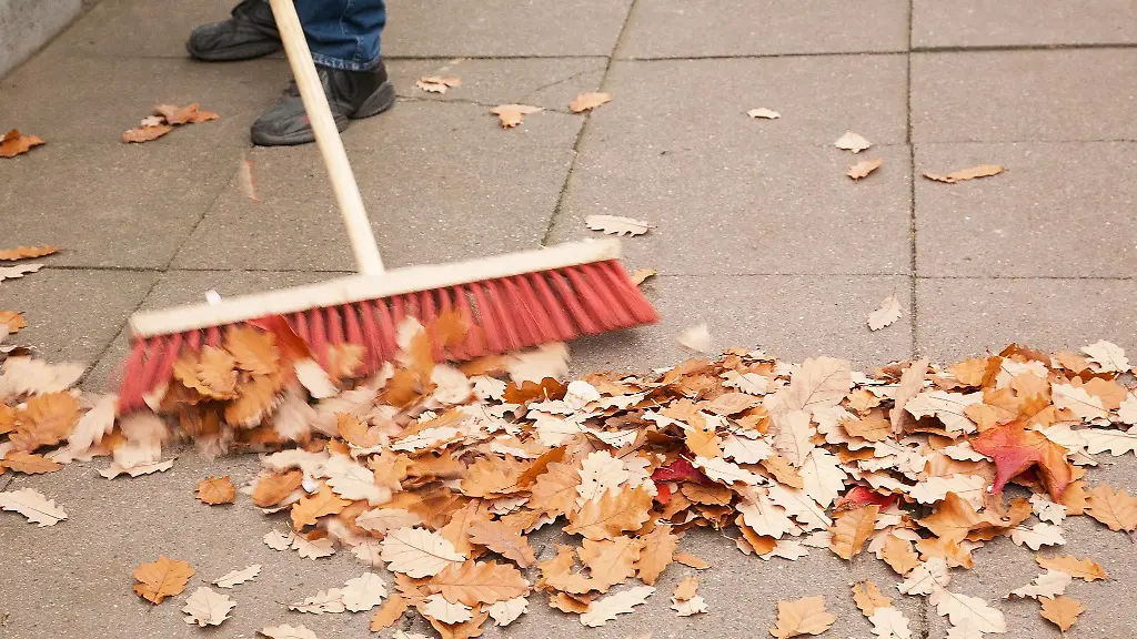 Verantwortlichkeiten beim Herbstlaubfegen