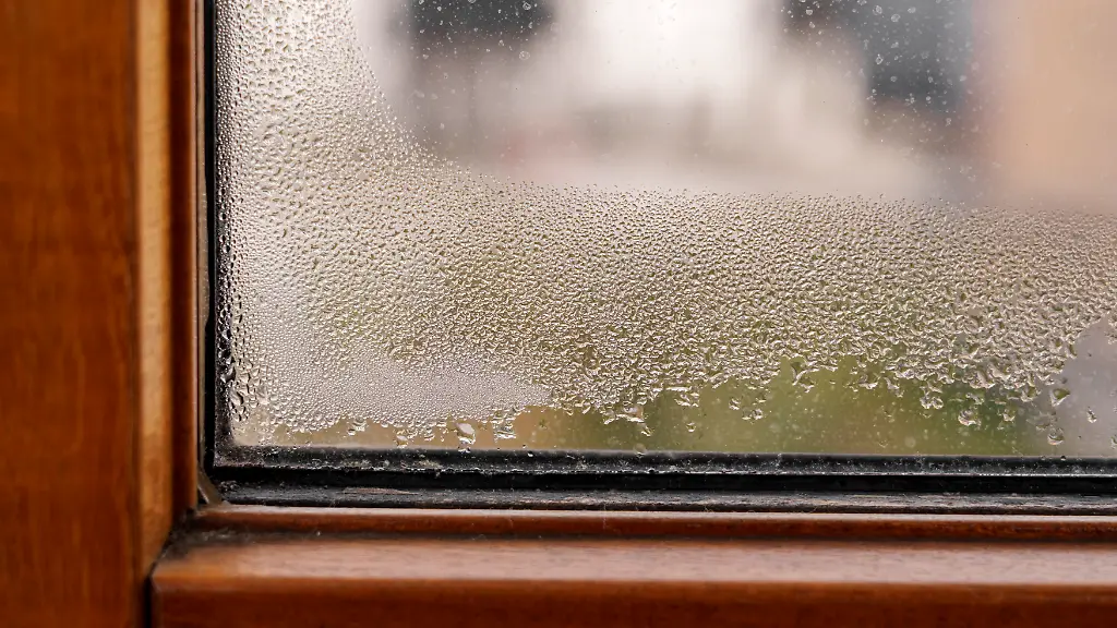 Luftentfeuchter im Herbst – Effektive Abhilfe gegen Feuchtigkeit