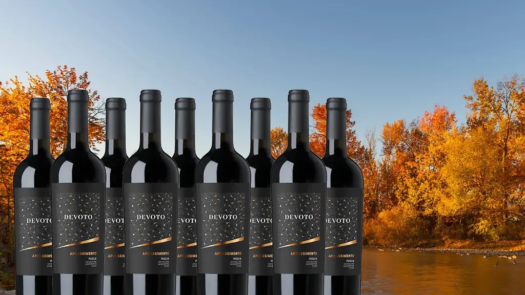 Vorratsset für kalte Tage: Neun Flaschen Rotwein für 45 Euro