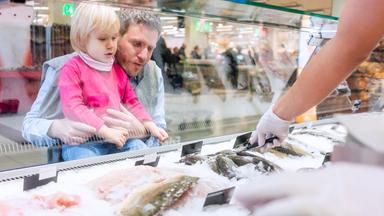 Dosenfisch: Eine Untersuchung der Auswirkungen unseres Konsums