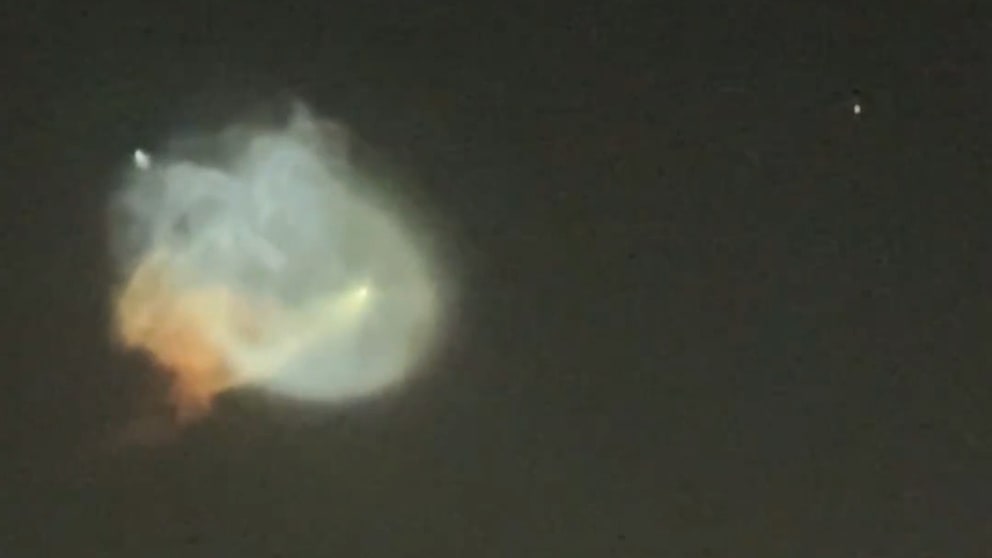 Rätselhaftes Leuchten am Himmel: Das Phänomen „Space Jellyfish“