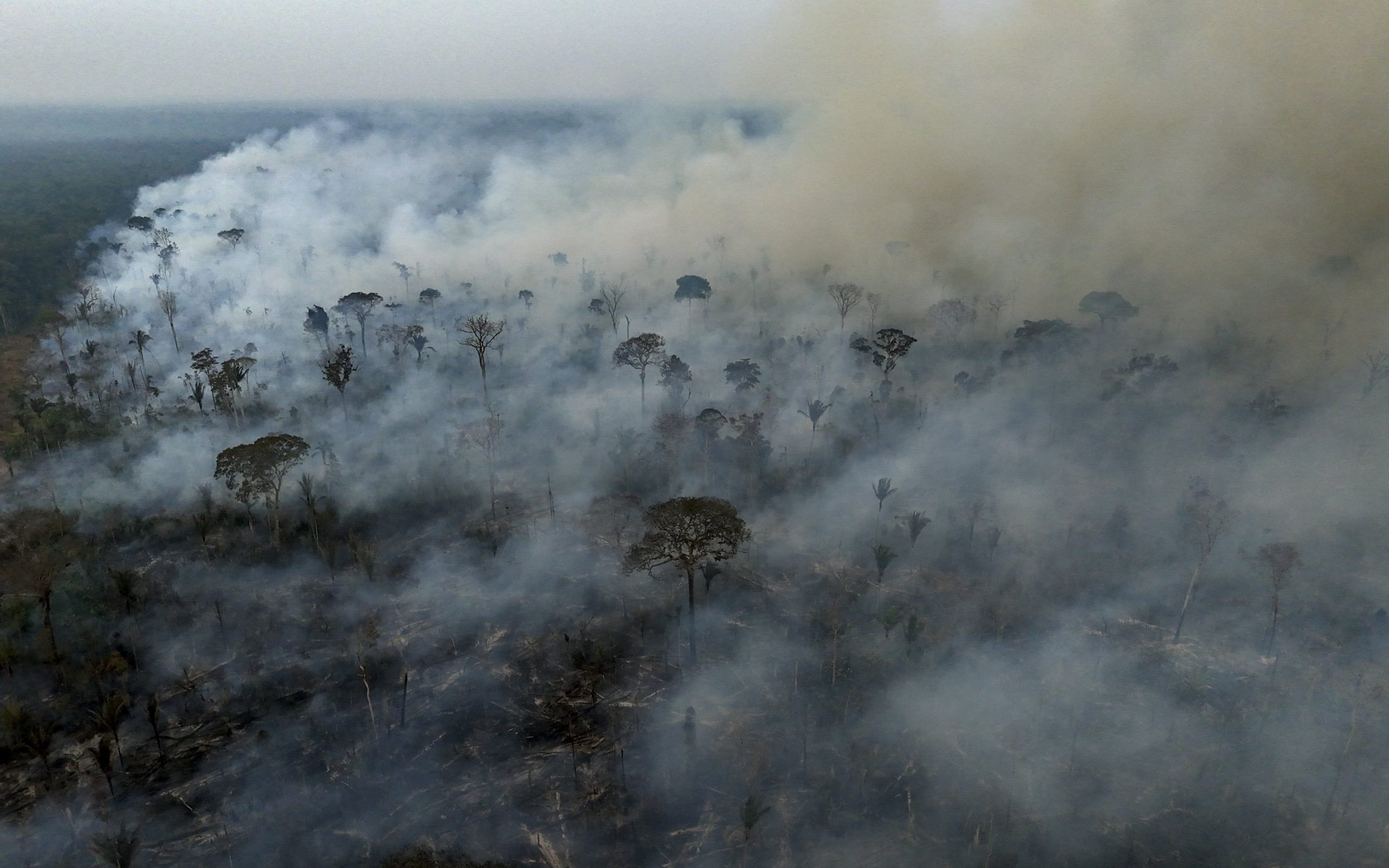Die letzte Chance zur Rettung des Amazonas