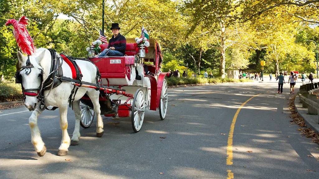 Verbot von Pferdekutschen im Central Park geplant